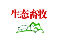 店堂装修设计咨询服务怎么样做，这几个细节